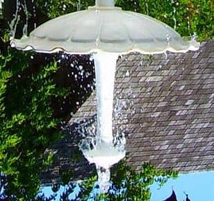 Interactive Kids' Workshops