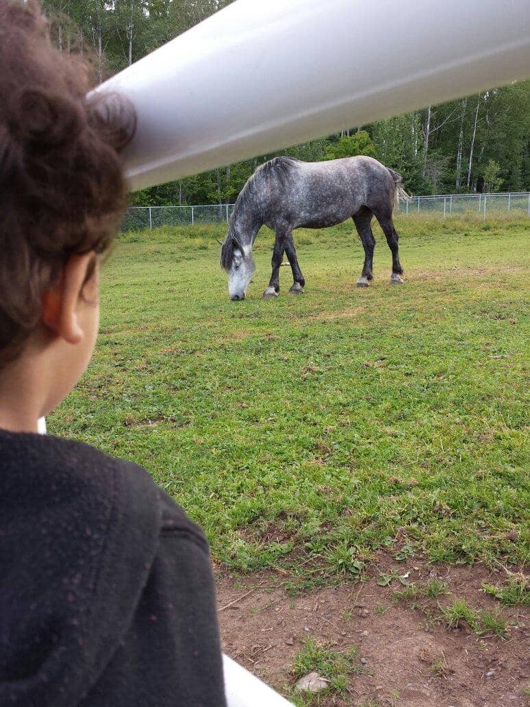 Historical Mining Relics