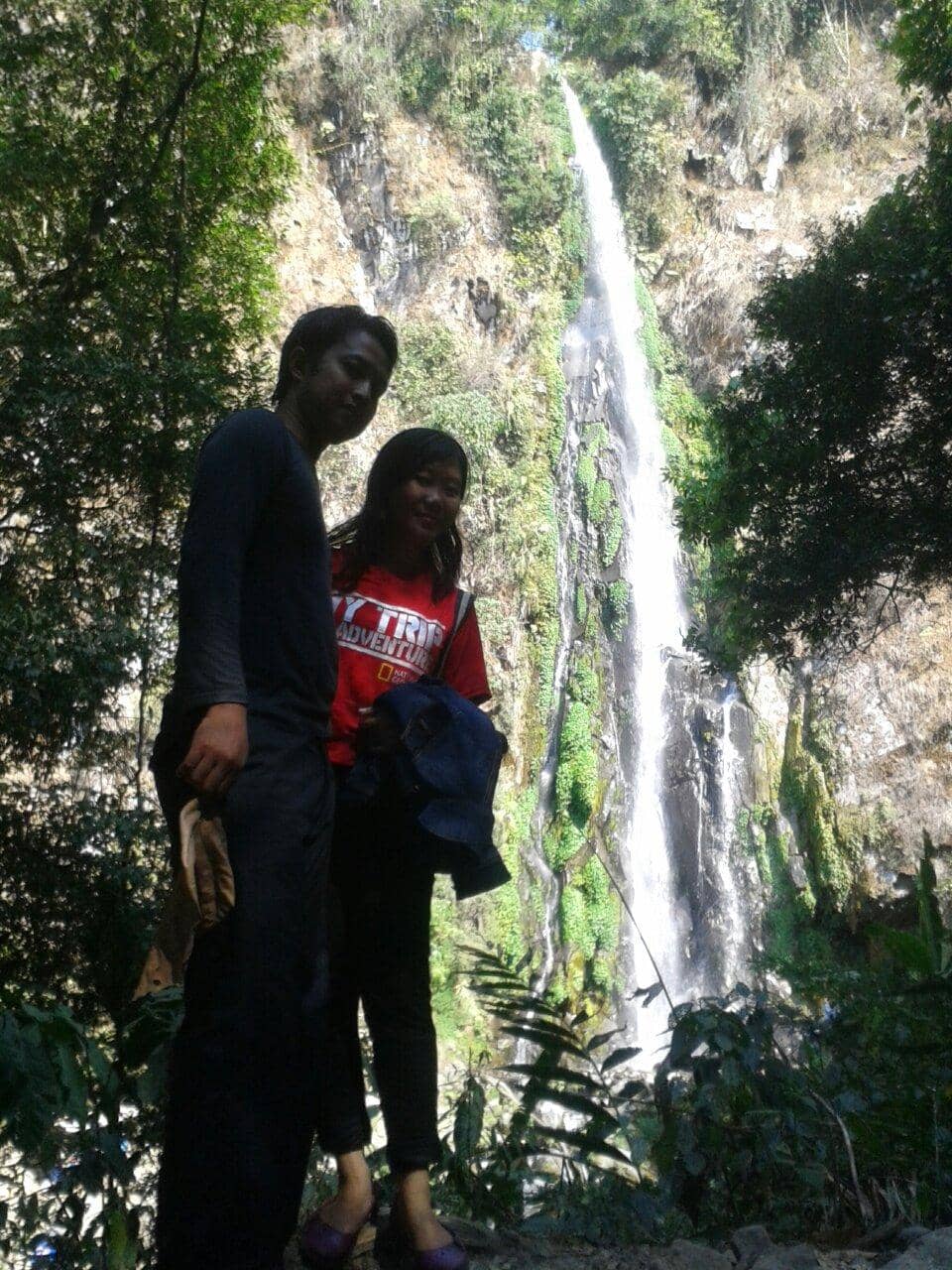 Scenic Rainforest Trail