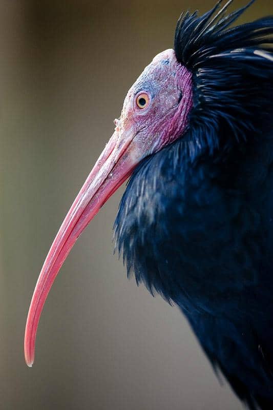 Relaxing Beer Garden