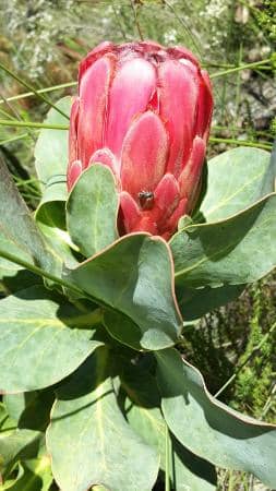Tranquil Riverfront Walk