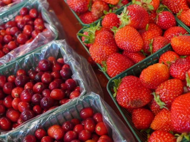 Challenging Corn Maze