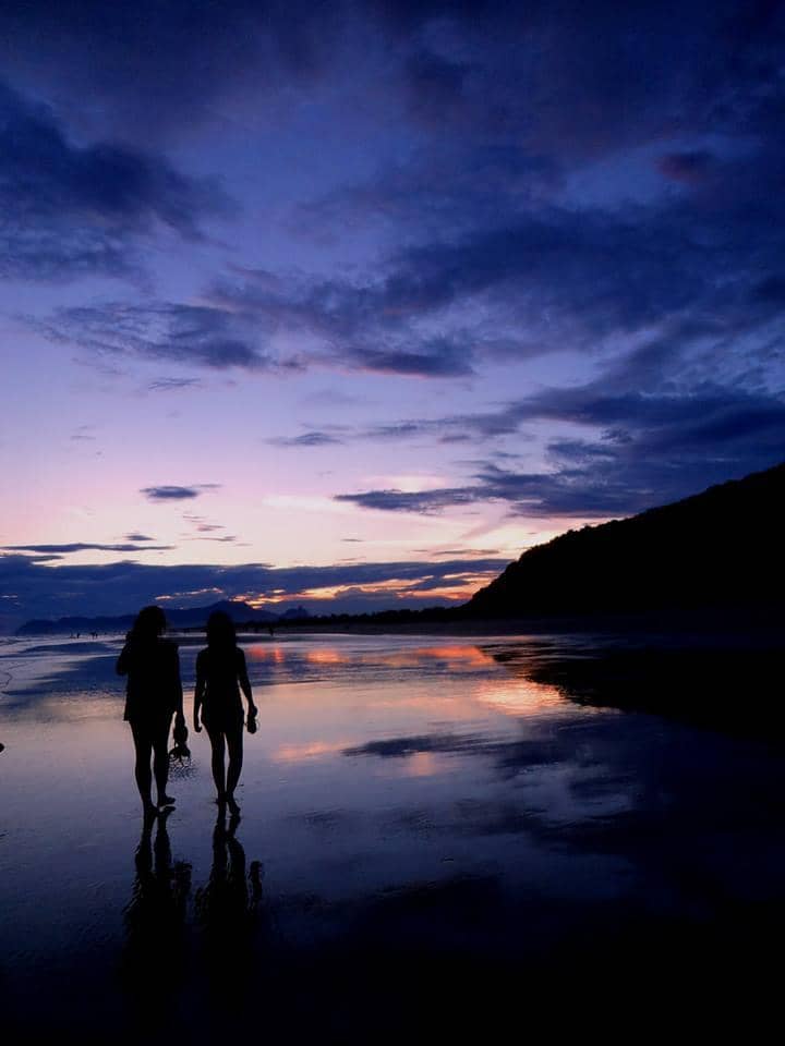 Atlantic Rainforest Trails