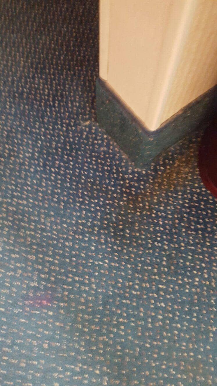 Live Entertainment & Comedy Shows