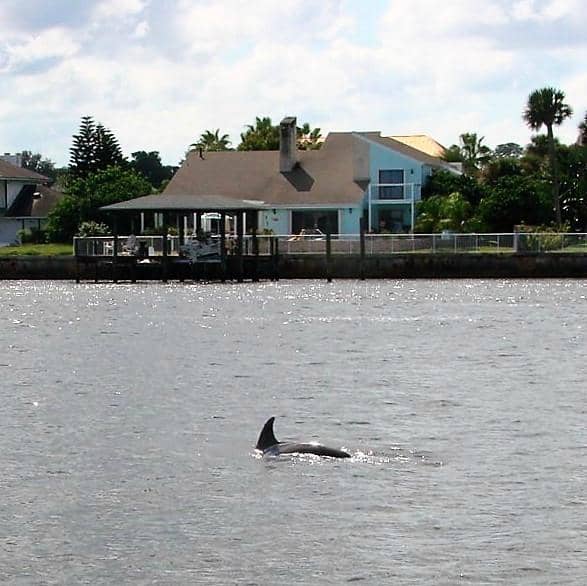 Interactive Touch Tanks