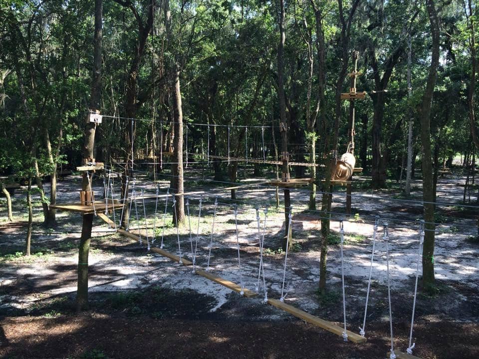 Family Fun for All Ages