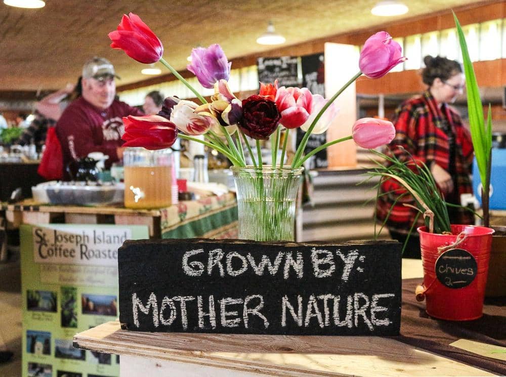 The 'Back Area' Experience