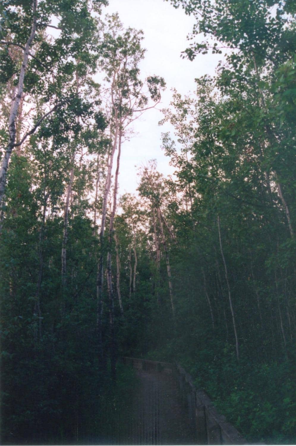 Mini Golf & Ice Cream