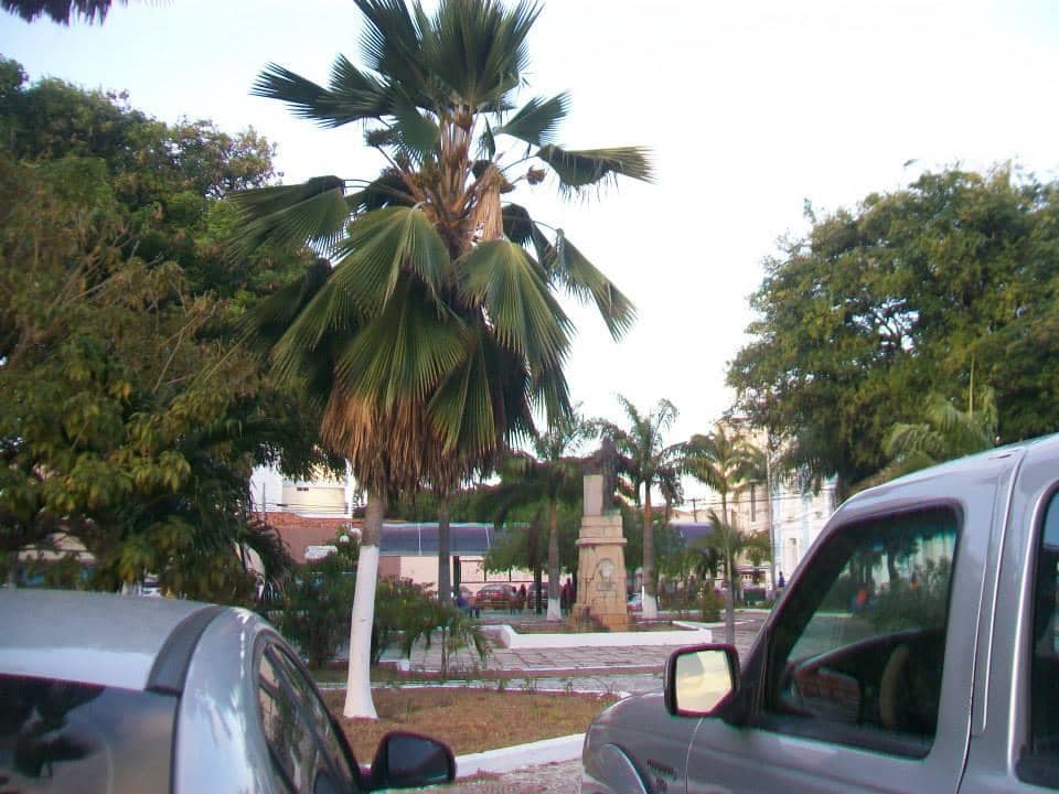 The Heart of the City