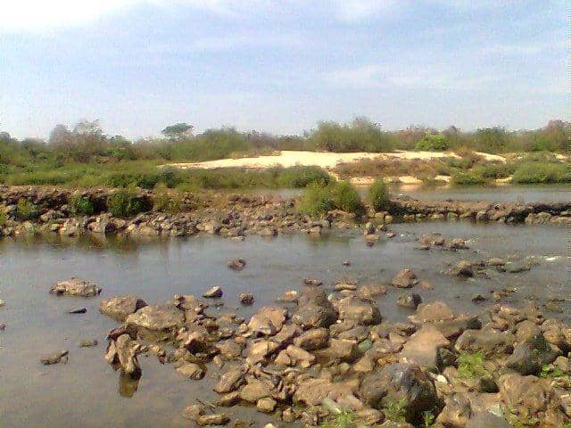 Paleontological Significance