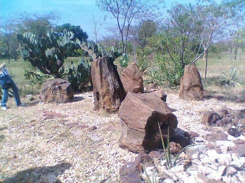 Pedra de Fogo Formation