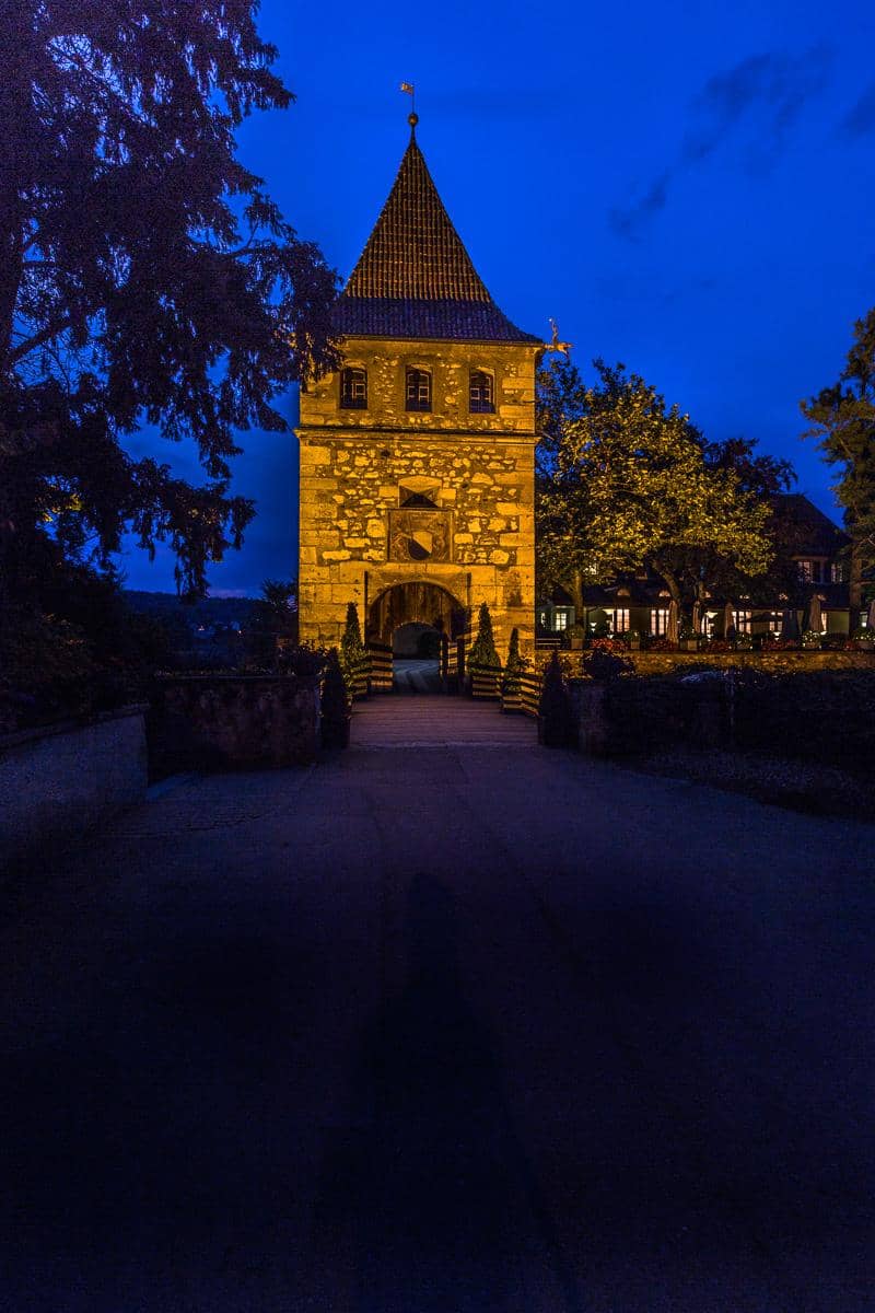 Boat Tours on the Rhine