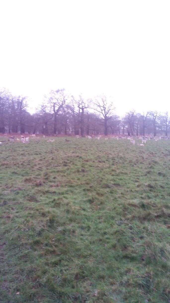 Outdoor Pool & Slides