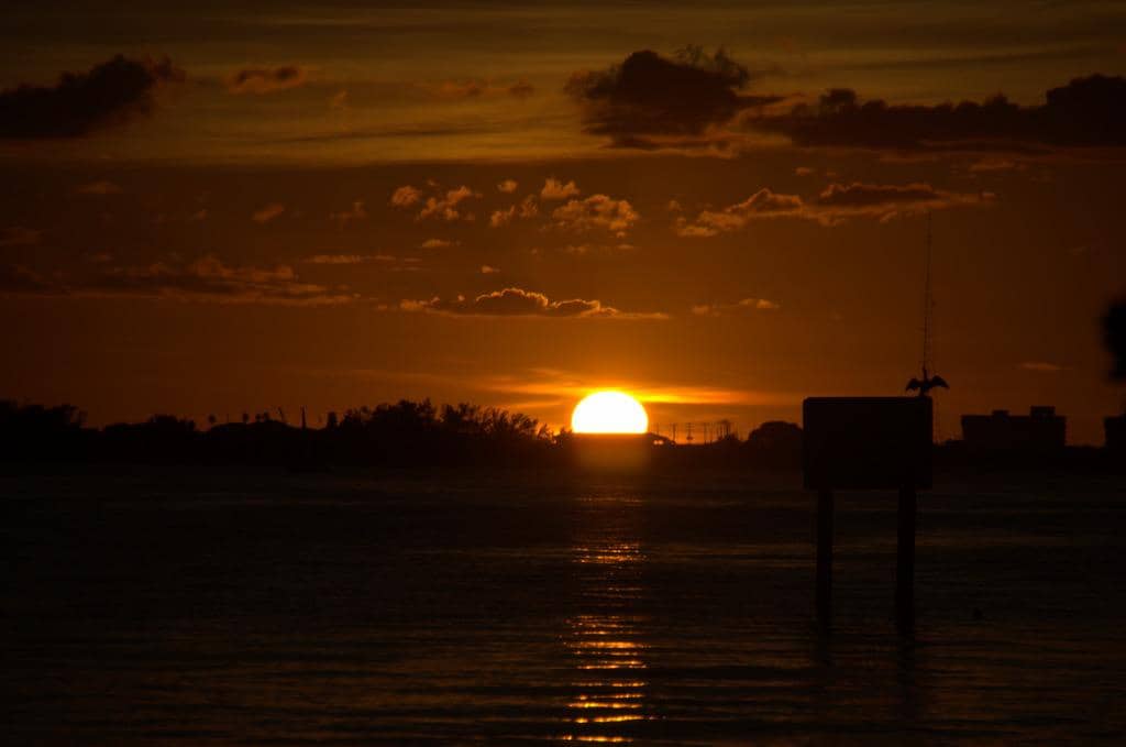 Family-Friendly Amenities