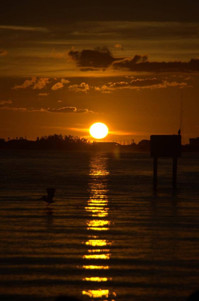 Scenic City & Bridge Views
