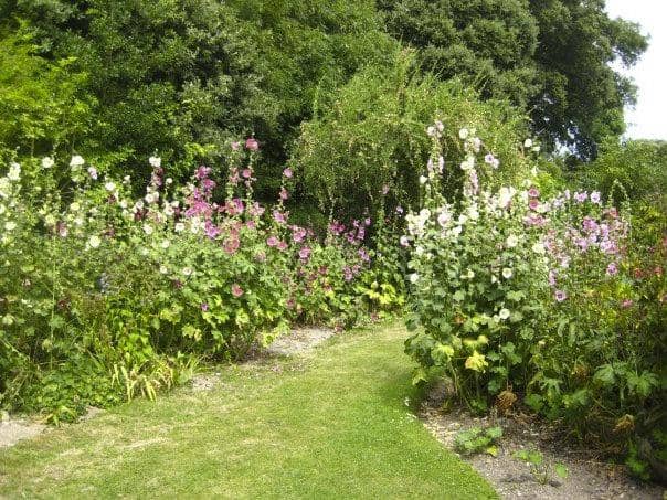 Historic Sterns' Garden