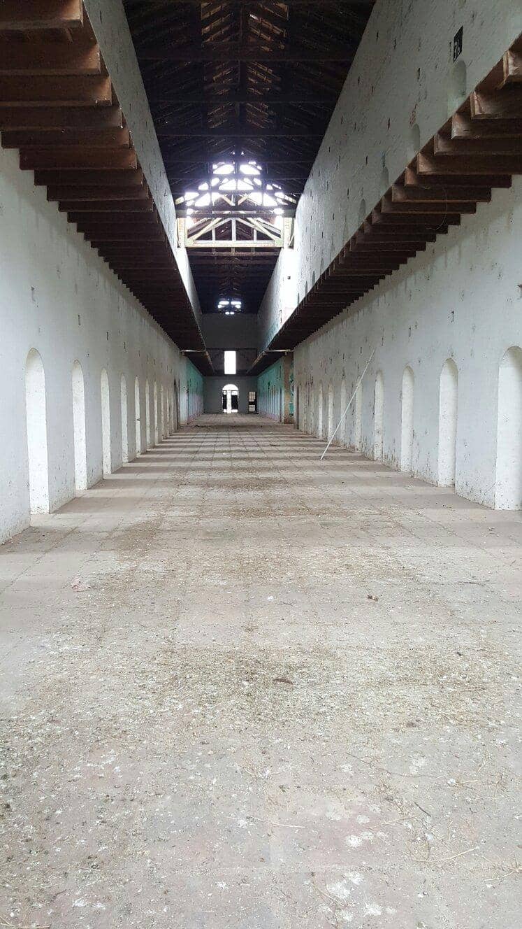 Tolima History Exhibits