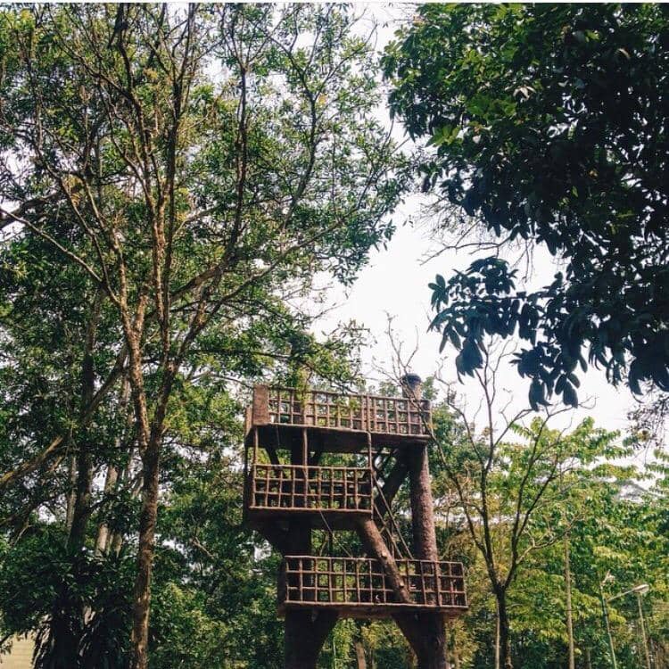 Fountain Show Spectacle