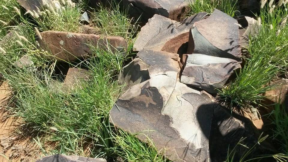 Knowledgeable Guides