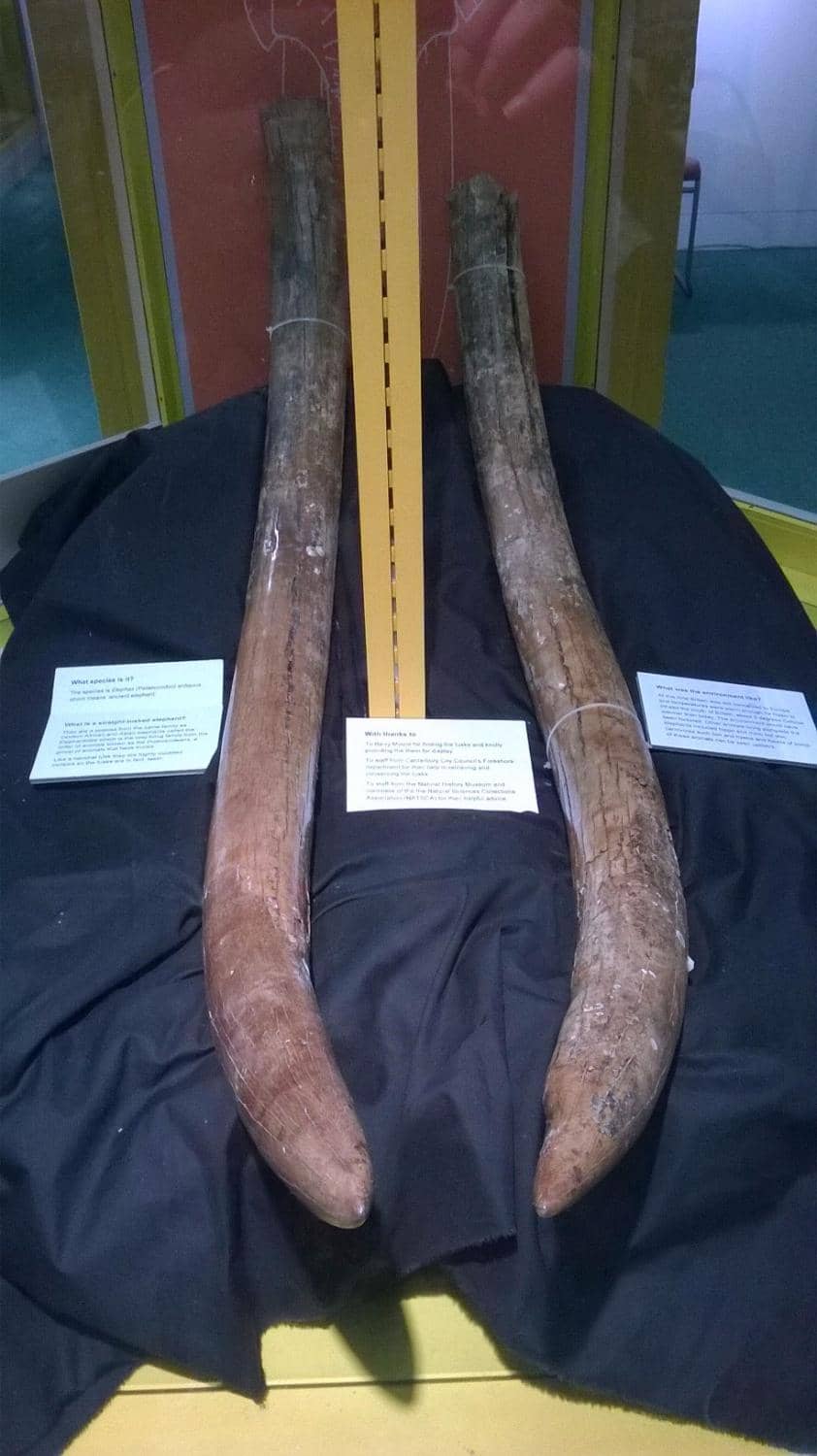 Local History & Nostalgia