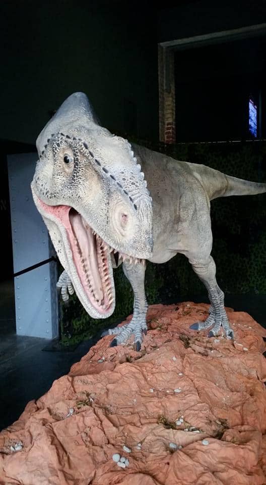 Evolution of Elbeuf Exhibition