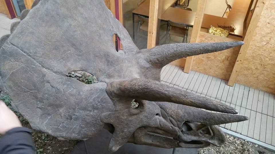 Textile History Gallery