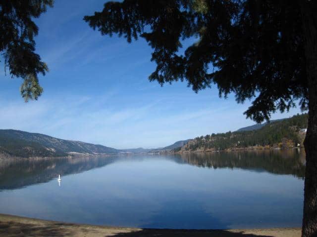 Kid-Friendly Playground