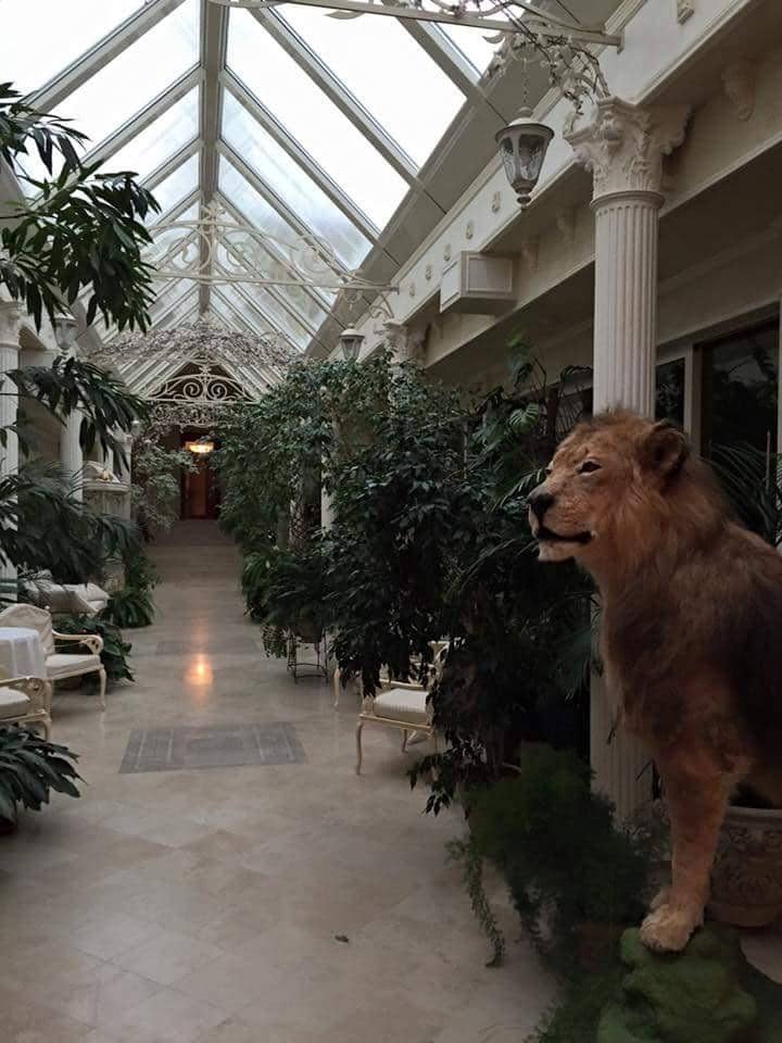 Expansive Park and Gardens