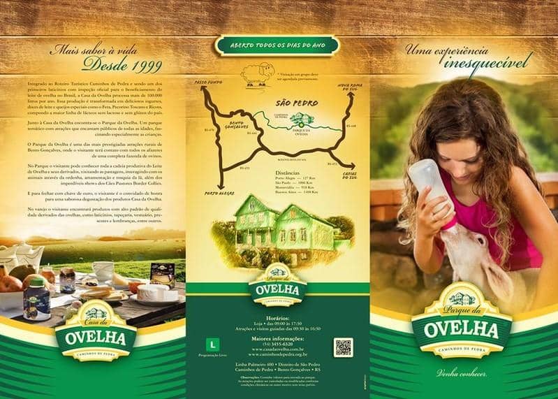 Border Collie Sheepdog Show