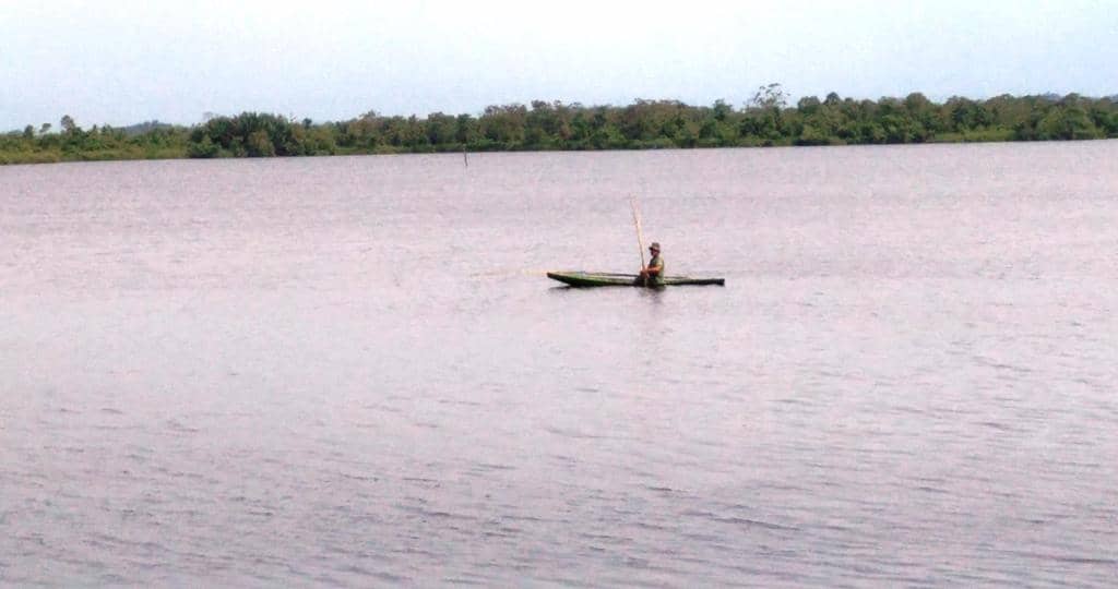 Unique Orchid Spotting