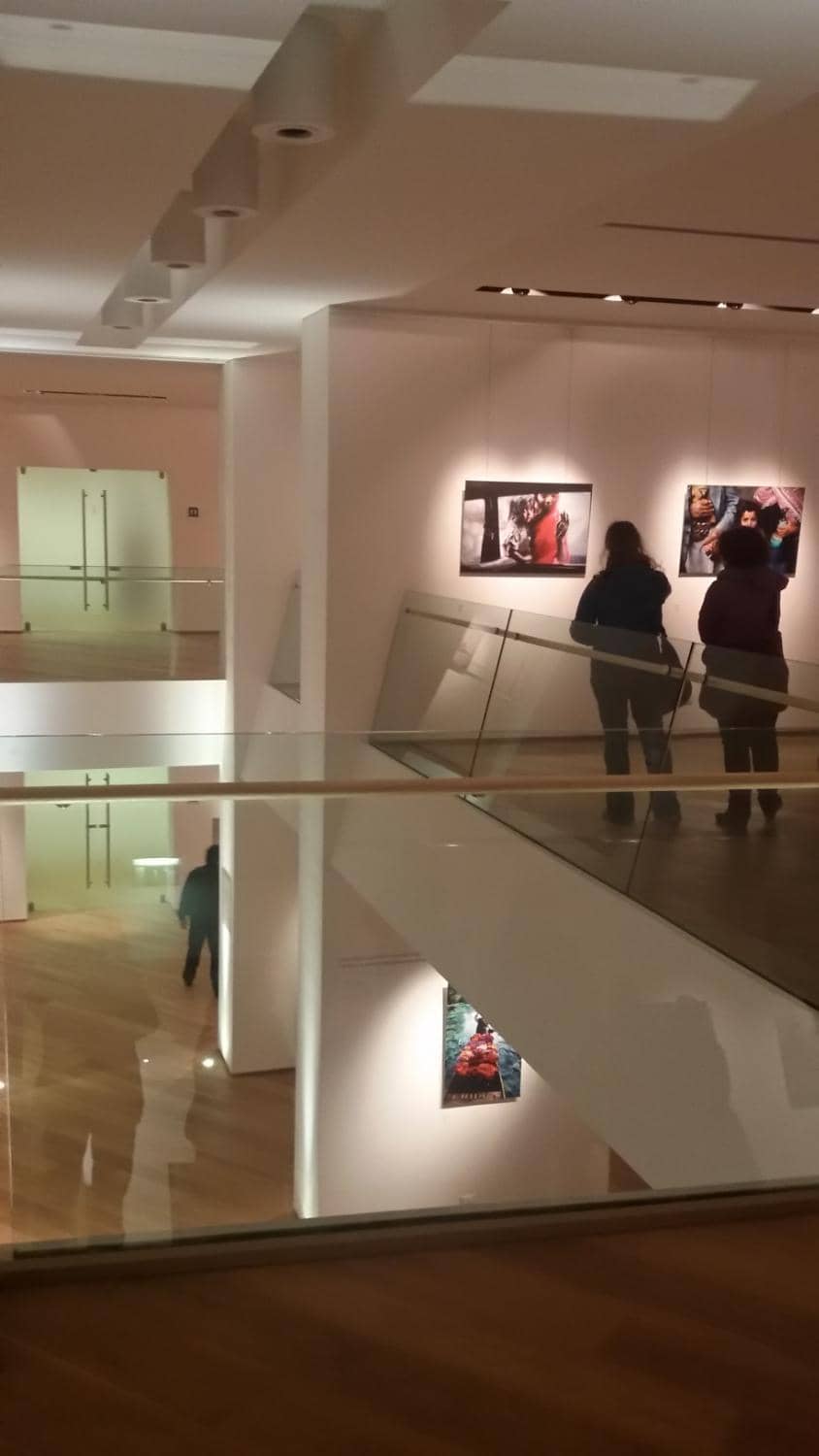 Harry Bertoia Collection