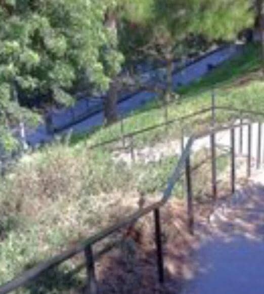 Challenging Stair Climbs