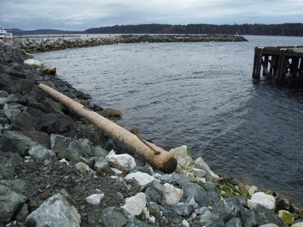 Morning Fishing Excursions