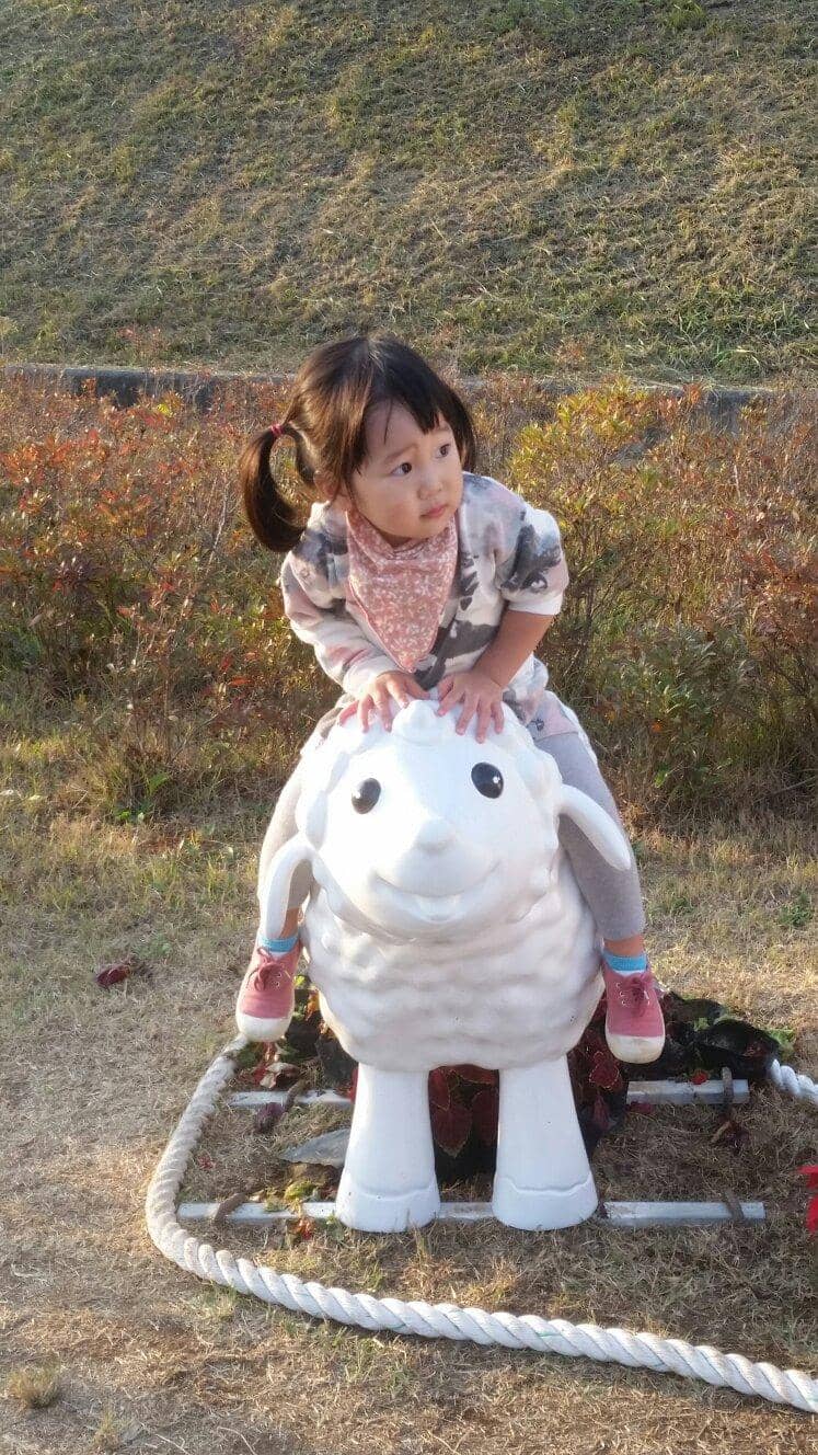 Spring Tulip Gardens