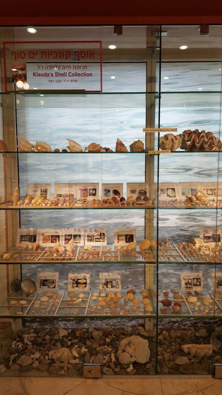 Biblical Connections