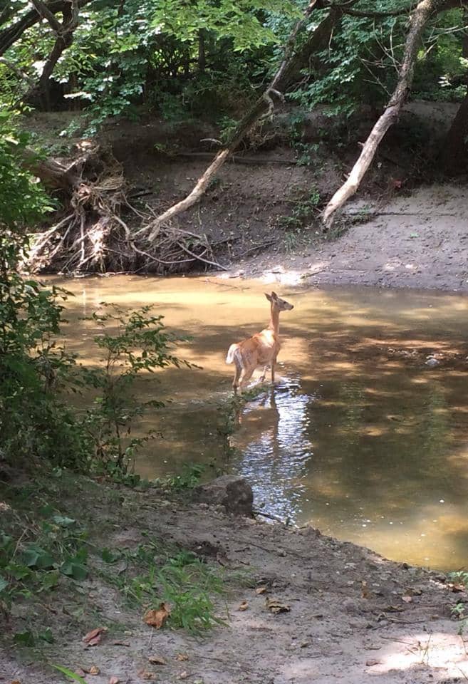 Paved Path Perfection