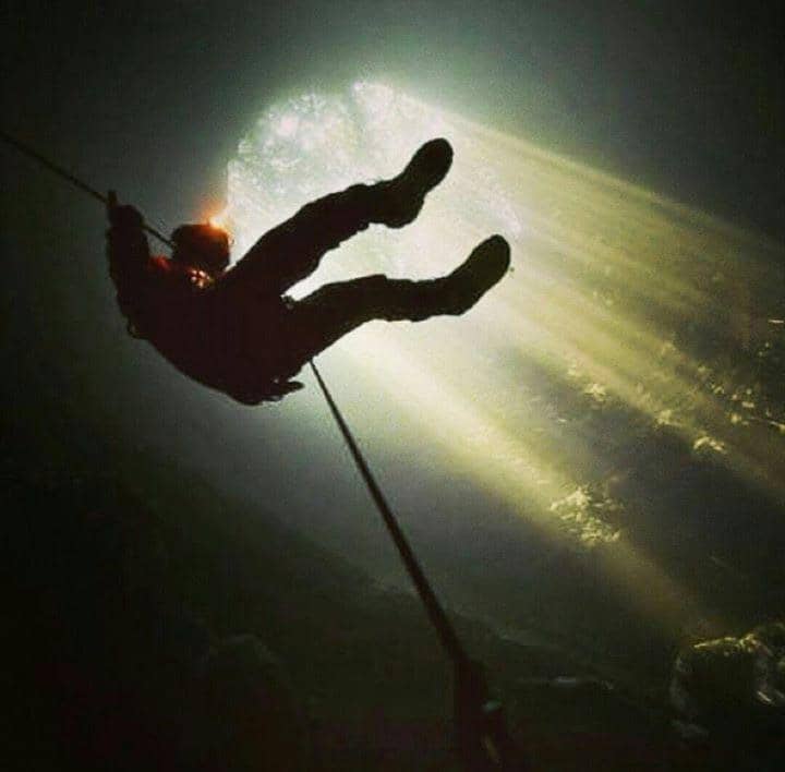 Prehistoric Underground Forest