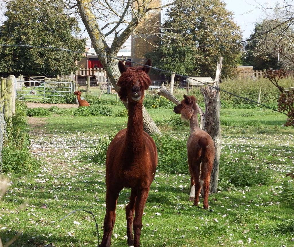 Seasonal Parties & Events