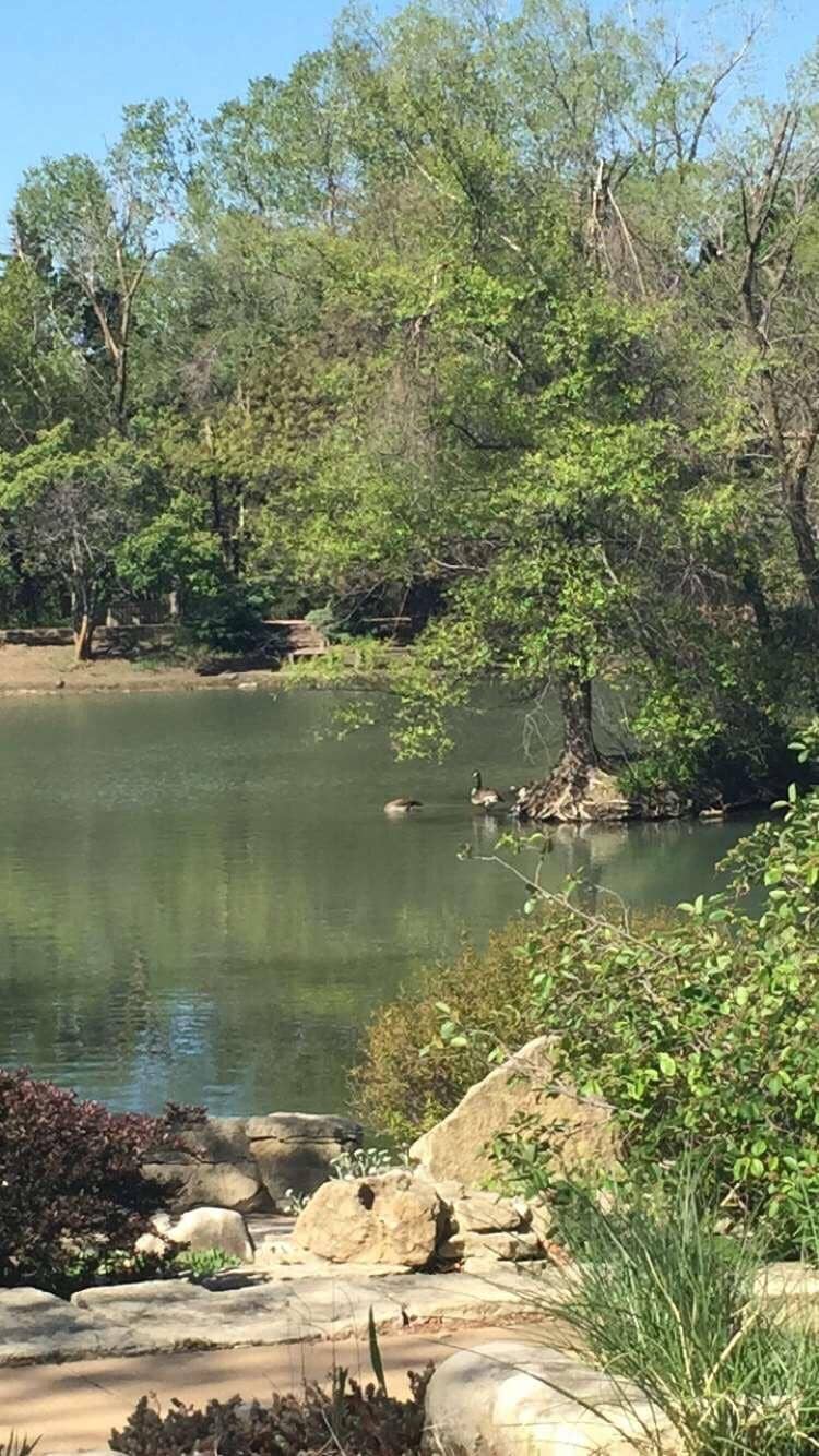 Indoor Nature Center