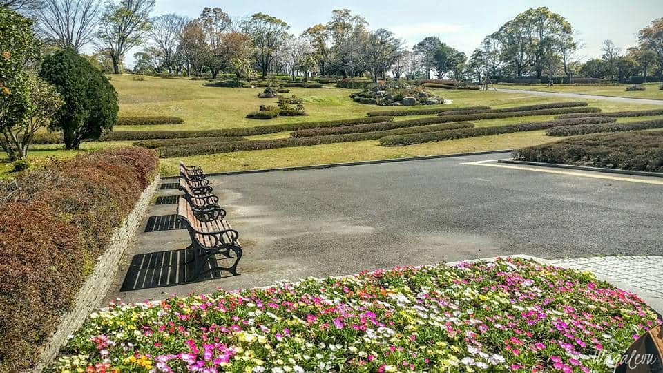 Sakurajima Volcano Viewpoint