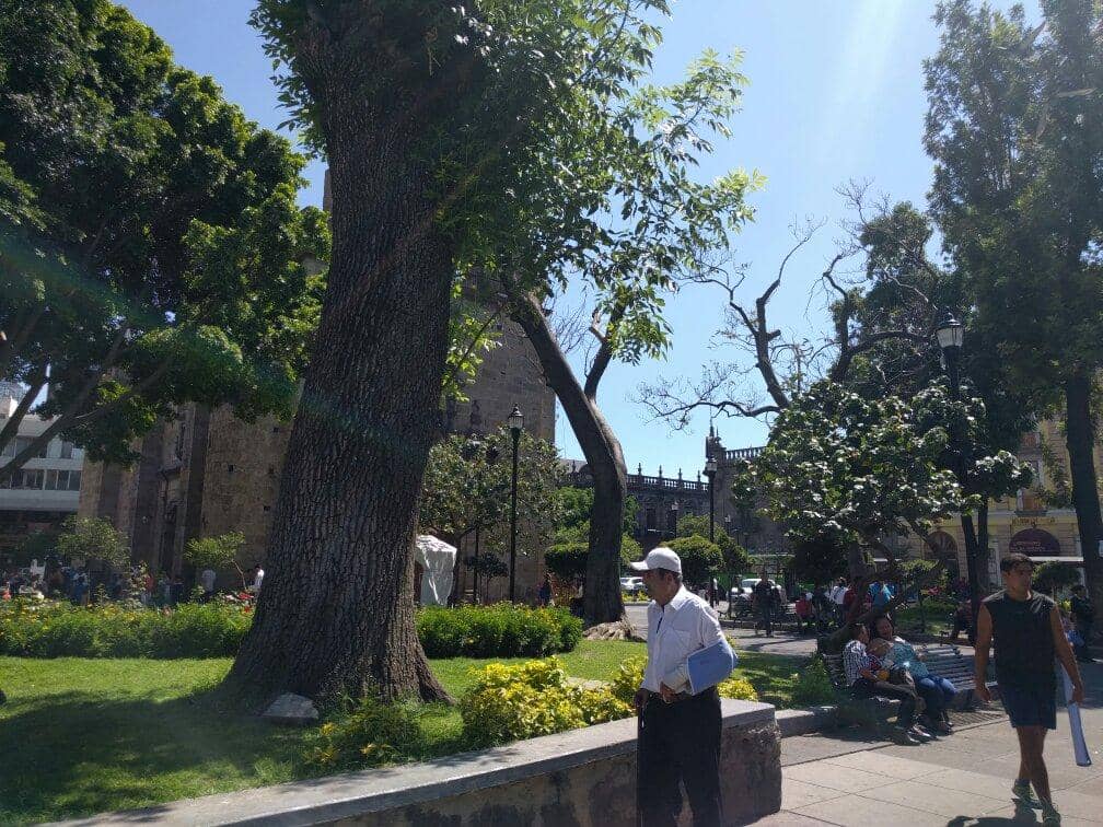 The Aránzazu Church