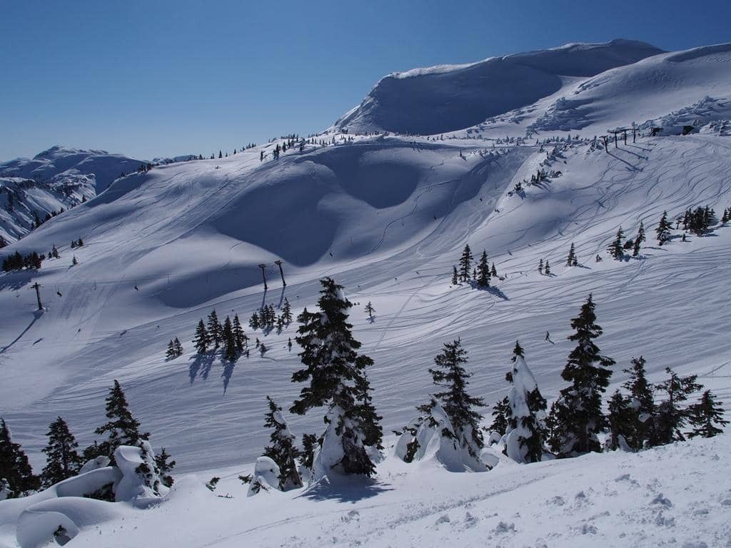 Summer Hiking Trails