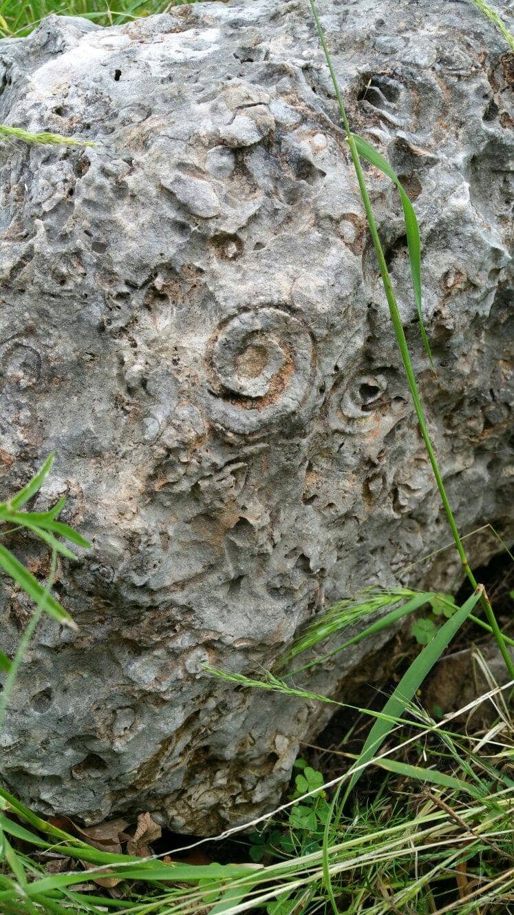 Well-Maintained Trails