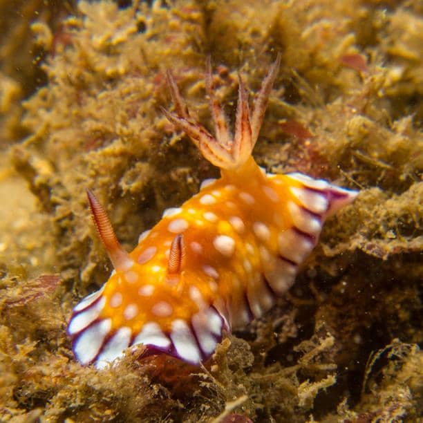 Spectacular Sunset Views