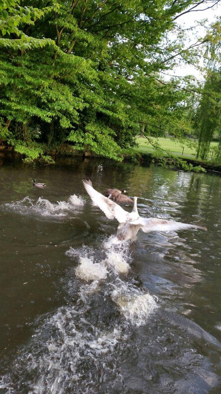 Children's Play Area