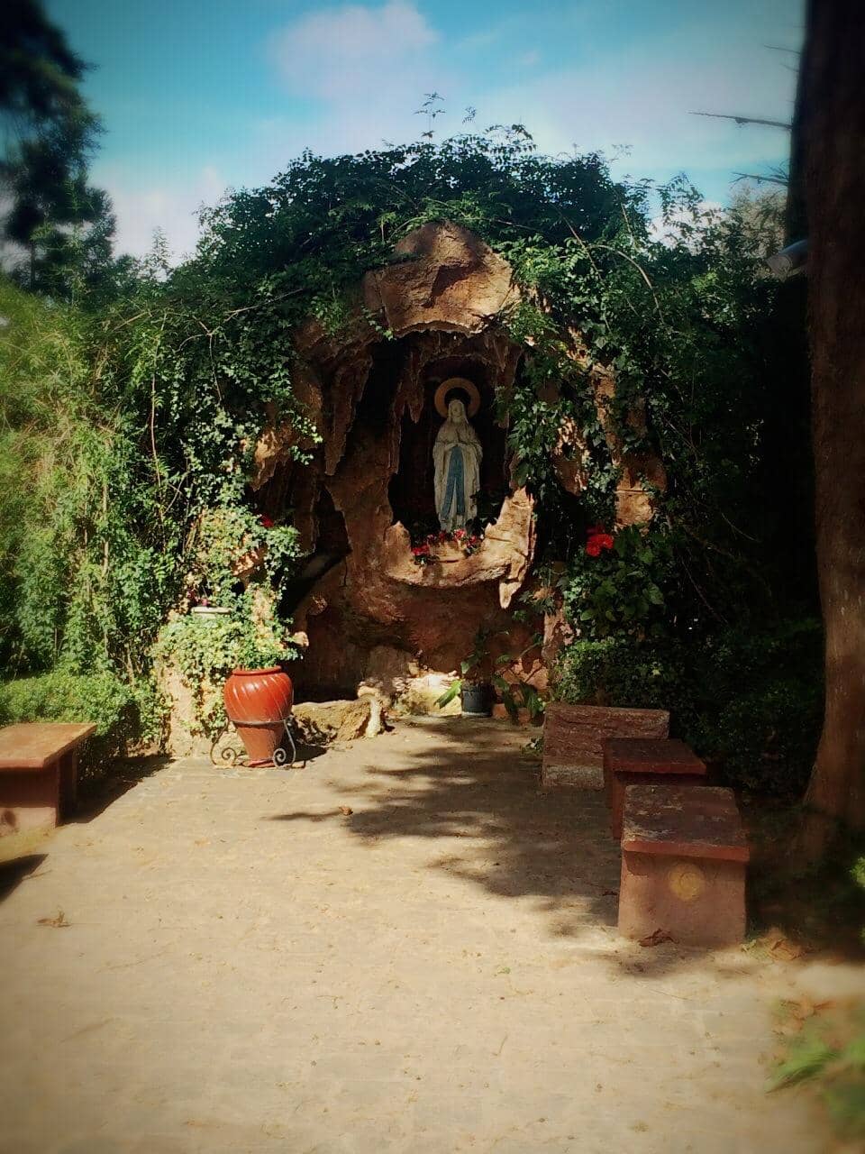 Gregorian Chanting Masses