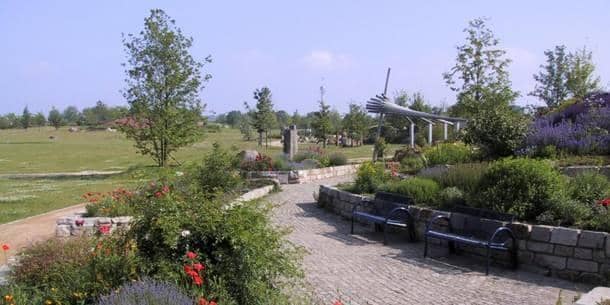 Interactive Sensory Stations