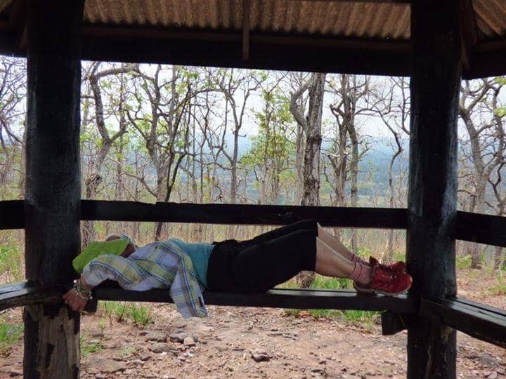 Central Dinosaur Display