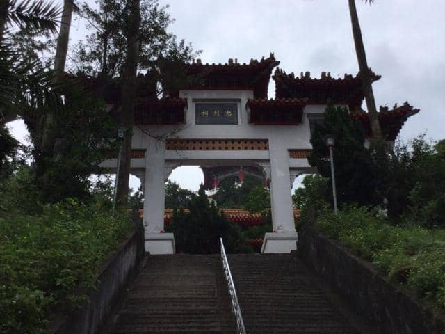 Ginger Cat Encounters