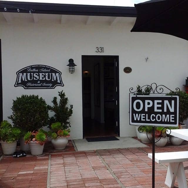 Volunteer-Led Insights